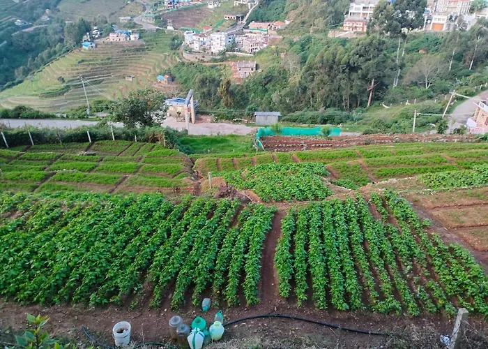 Sams Cottage - Kodaikanal